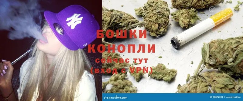 где продают   Болхов  Канабис ГИДРОПОН 